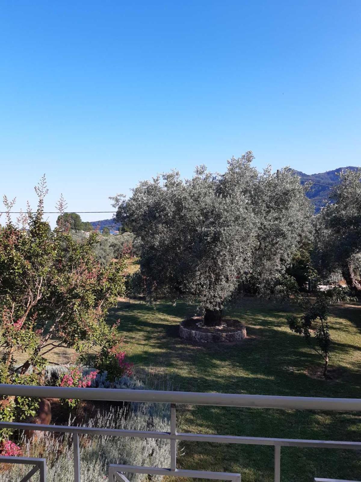 Nostos Studios Golden Beach Chrysi Ammoudia Bilik gambar