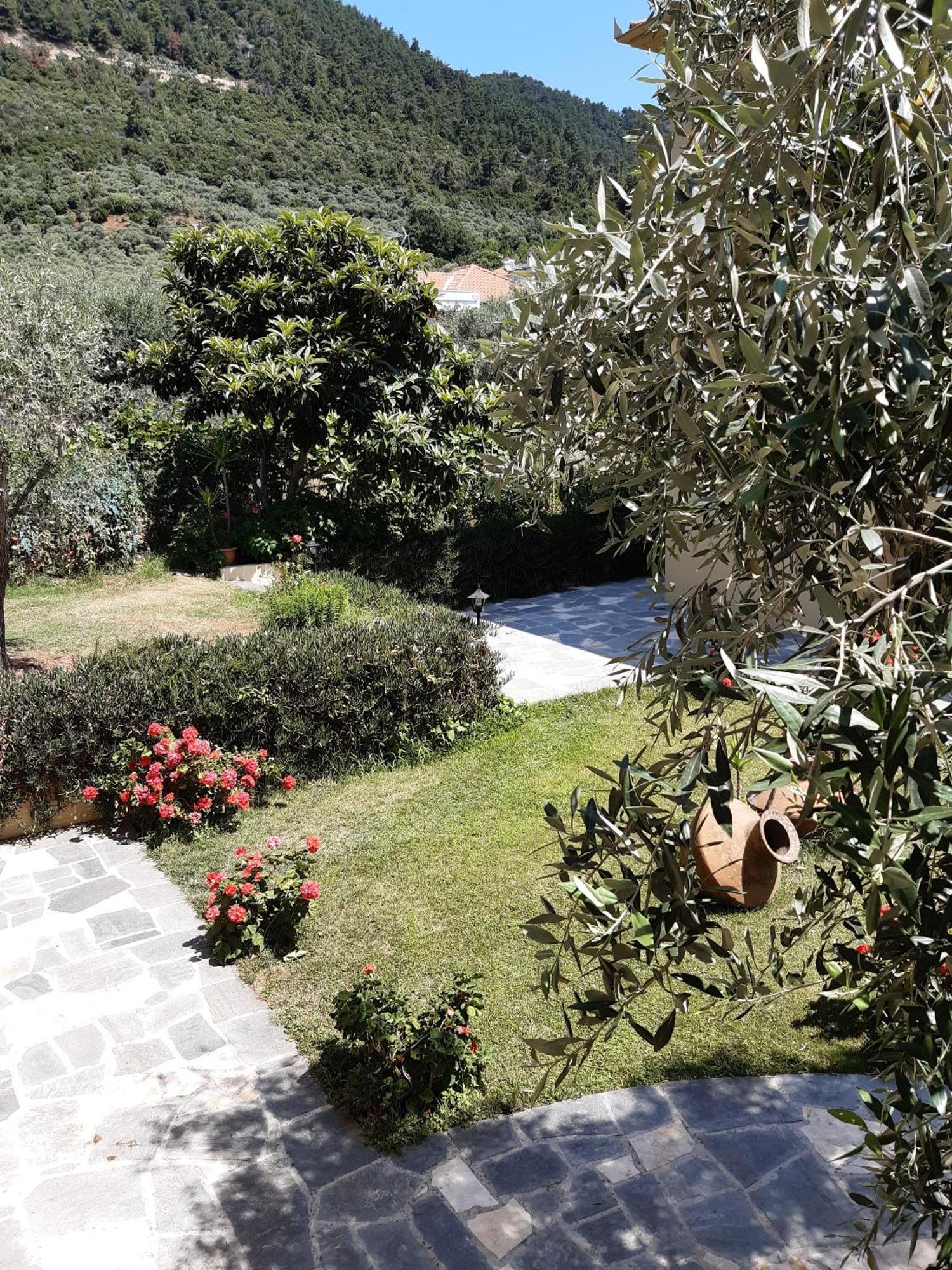 Nostos Studios Golden Beach Chrysi Ammoudia Bilik gambar